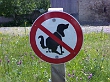 hunde